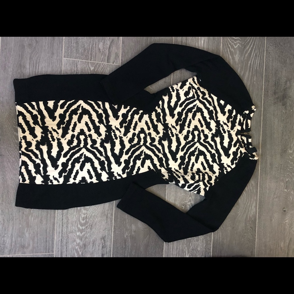 H&M : Professional, knee length animal print dress